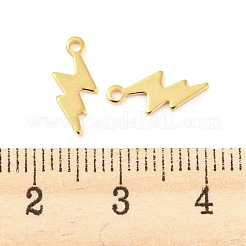 201 Stainless Steel Charms&nbsp;STAS-Z049-03G