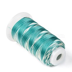 セグメント染色ラウンドポリエステルミシン糸  手縫い・ミシン用  タッセル刺繡  薄緑  3プライ0.2mm  約1000m /ロール&nbsp;OCOR-Z001-A-07