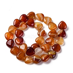 Natural Red Agate Beads Strands&nbsp;G-I372-A03-01