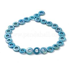 Natural Freshwater Shell Dyed Beads Strands&nbsp;BSHE-P033-01B