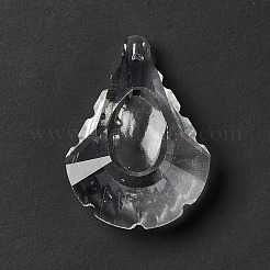 Transparent Glass Pendants&nbsp;GLAA-F118-09
