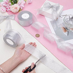 Polyester Ribbon&nbsp;OCOR-WH0070-278D