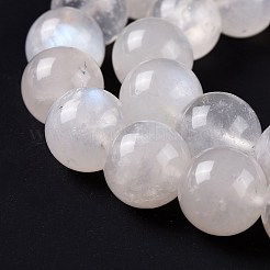 天然レインボー ムーンストーン ビーズ 連売り  ラウンド  10mm  穴：1mm  約38個/連  15.67''（39.8センチメートル）&nbsp;G-I249-B04-06