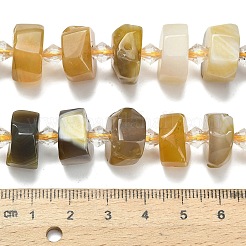 Natural Botswana Agate Beads Strands&nbsp;G-L642-H11-01