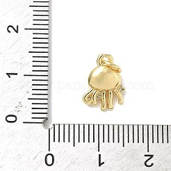 Brass Micro Pave Cubic Zirconia Charms&nbsp;ZIRC-I356-13G-06