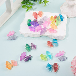 Transparent Acrylic Beads&nbsp;TACR-TAC0007-14