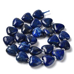 Natural Lapis Lazuli Beads Strands&nbsp;X-G-E614-A05-01