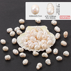 100Pcs Natural Cultured Freshwater Pearl Beads&nbsp;PEAR-LT0001-12