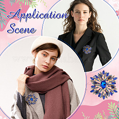 1Pc Alloy Rhinestone Brooches&nbsp;JEWB-MA0001-01B