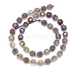 Natural Purple Phantom Quartz Purple Lodolite Quartz  Beads Strands&nbsp;G-I376-D87-01