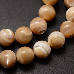 Natural Sea Shell Beads Strands&nbsp;SSHEL-K013-12mm-B