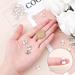 304 Stainless Steel Charms&nbsp;STAS-UN0005-26