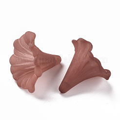 Transparent Acrylic Beads&nbsp;BSF796-C06