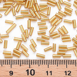 Plated Glass Bugle Beads&nbsp;SEED-S046-01A-22B