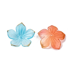 Transparent Acrylic Bead Caps&nbsp;TACR-P011-03G