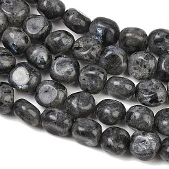 Natural Larvikite Beads Strands&nbsp;GG-CBA787B-A37