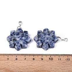 Natural Blue Spot Jasper Pendants&nbsp;G-T144-12J