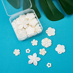 Natural Freshwater Shell Pendants&nbsp;SSHEL-KS0001-01