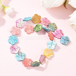 1 Strand Natural Freshwater Shell Beads Strands&nbsp;SHEL-YW0001-17