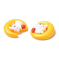 Opaque Resin Cabochons&nbsp;CRES-M017-01A