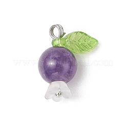 5Pcs 5 Styles Natural Amethyst & Quartz Crystal & Rose Quartz & White Jade & Dyed Malaysia Jade Round Pendants&nbsp;PALLOY-JF03962-01
