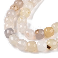 天然ホワイトアゲート瑪瑙ビーズ連売り  バレル  10~10.5x9~9.5mm  穴：1.2mm  約41~43個/連  14.37~16''（36.5~40センチメートル）&nbsp;G-T138-135