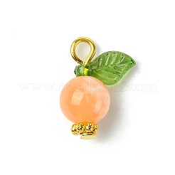 Acrylic Pendants&nbsp;PALLOY-JF02615-04