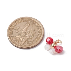 10Pcs 10 Colors Glass Beaded Pendants&nbsp;PALLOY-JF02583