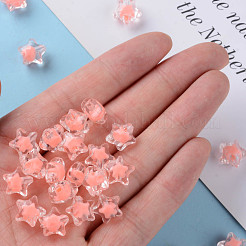 Transparent Acrylic Beads&nbsp;TACR-S152-01A-SS2109