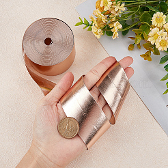 5mの平型模造革コード  枕の装飾用  ミスティローズ  40x1mm  約5.47ヤード（5m）/ロール&nbsp;LC-GF0001-02H-03