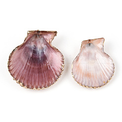 Electroplate Multicolor Sea Shell Pendants&nbsp;X-SSHEL-S262-31