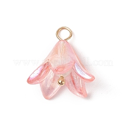 アクリルパーツ  シェルパールビーズと304ステンレススチールの留め具付き  花のチャーム  ミックスカラー  15.5x15.5mm  穴：2mm&nbsp;X-PALLOY-TA00023