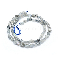 天然石ラブラドライトビーズ連売り  タンブルストーン  ナゲット  5~12x6~7mm  穴：0.8mm  約46~57個/連  15.16インチ（38.5cm）&nbsp;X-G-L550A-06