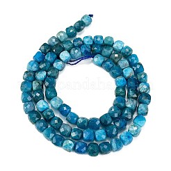 Natural Apatite Beads Strands&nbsp;X-G-E560-A07-4mm-A