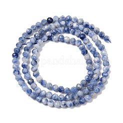Natural Blue Spot Jasper Beads Strands&nbsp;G-A252-A02-02