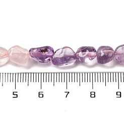 Natural Rose Quartz & Amethyst Beads Strands&nbsp;G-L610-B13-01