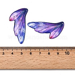 2Pcs Transparent Epoxy Resin Pendants&nbsp;RESI-A044-05C