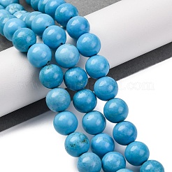 Dyed Natural Magnesite Beads Strands&nbsp;G-P558-A01-01A