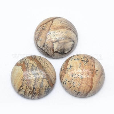 Natural Picture Jasper Cabochons&nbsp;G-E492-A-10-1