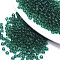 6/0 Transparent Glass Seed Beads, Round, Teal, 4x3mm, Hole: 1mm, about 4500pcs/bag