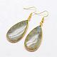 Natural Labradorite Dangle Earrings&nbsp;EJEW-L179-01H-1