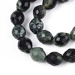 Natural Kambaba Jasper Beads Strands&nbsp;G-T142-86