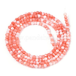 Dyed Natural Trochid Shell/Trochus Shell Beads Strands&nbsp;SSHEL-T017-13D