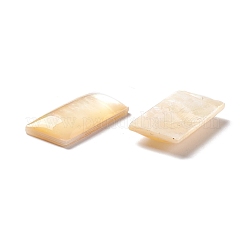 Yellow Shell Cabochons&nbsp;SSHEL-C008-10