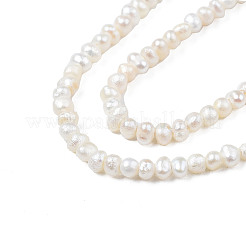 Natural Cultured Freshwater Pearl Beads Strands&nbsp;PEAR-N013-02B