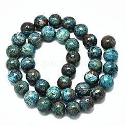Natural Wave Jasper Beads Strands&nbsp;G-R485-10-10mm-1
