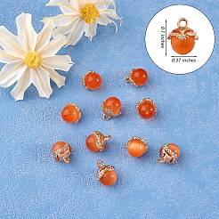 10Pcs Gemstone Charm Pendant Crystal Quartz Healing Natural Stone Pendants Buckle for Jewelry Necklace Earring Making Cra&nbsp;JX599C
