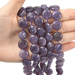 Natural Lepidolite/Purple Mica Stone Beads Strands&nbsp;G-L648-B09-15mm