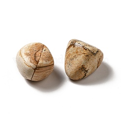 Natural Picture Jasper Beads&nbsp;G-G979-A02