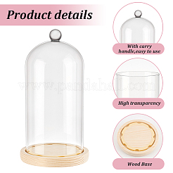 Glass Dome Cover&nbsp;AJEW-WH0348-293F